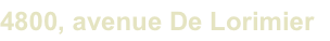 shapeimage_3_link_1